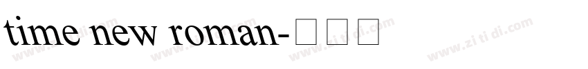 time new roman字体转换
